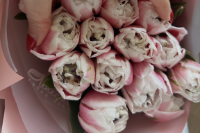 Ожидание vs реальность. Беларуски жалуются на дорогие цветы, которые выглядят не как на фото в Инстаграме