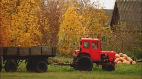Чалый: «Представляю себе эту «игру в бутылочку»: на кого покажет палец прокурора случайным образом — тех и сажаем в тюрьму»