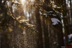 Зима, как в детстве. Мороз, солнце и много снега